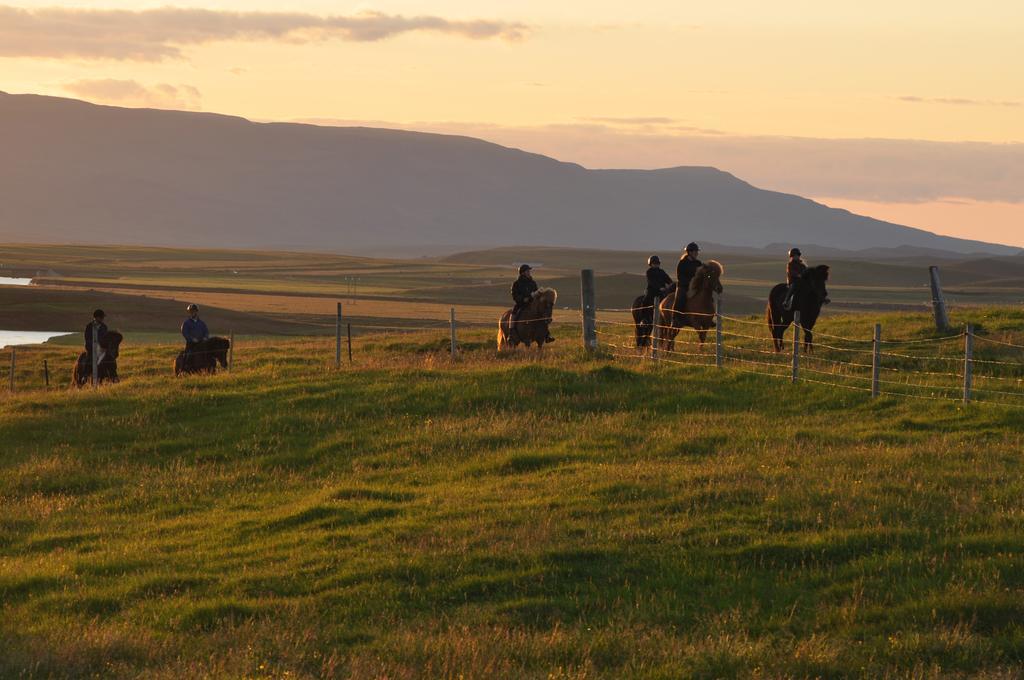 Stora-Asgeirsa Horse Farm Stay Vithigerthi Extérieur photo